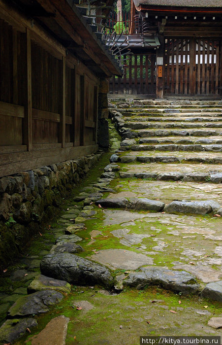 В святилище Камигамо Киото, Япония
