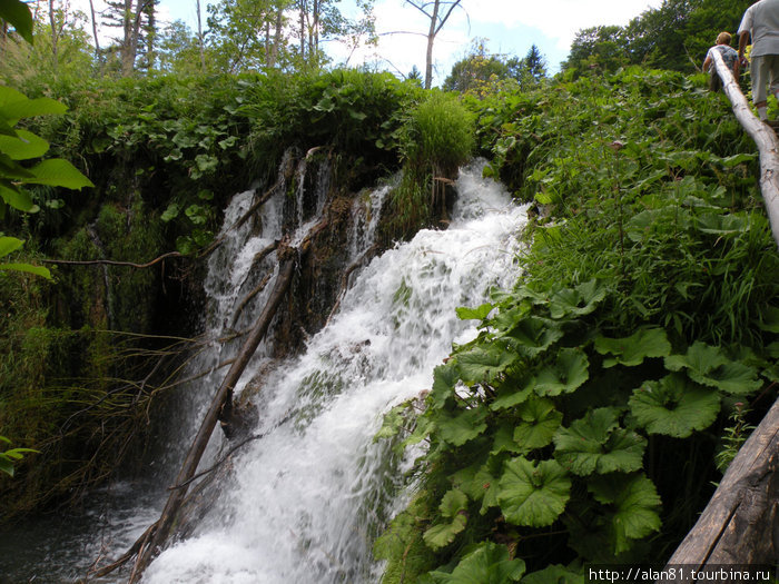 Плитвицкие озера - очей очарованье Национальный парк Плитвицкие озёра, Хорватия