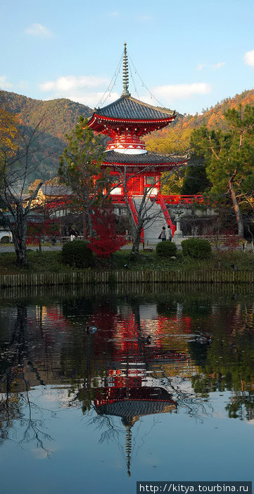 Осень в храме Дайкакудзи Киото, Япония
