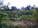 Река в центре Байамо