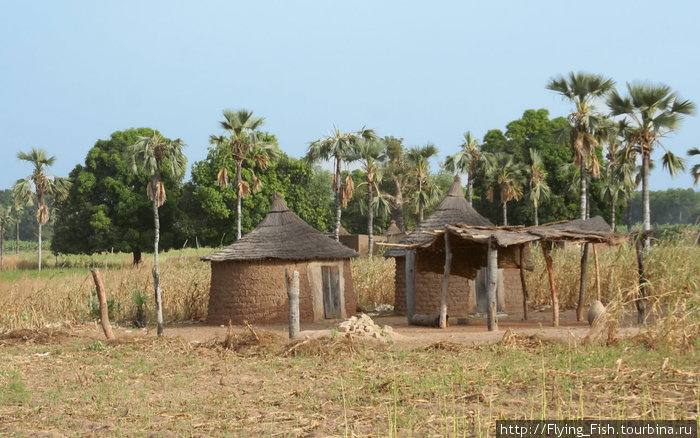 Путешествие по Западной Африке. Буркина-Фасо.