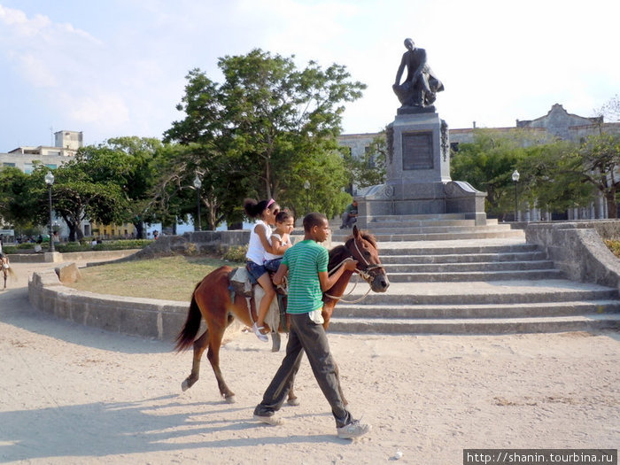 Прогулка с пони Гавана, Куба