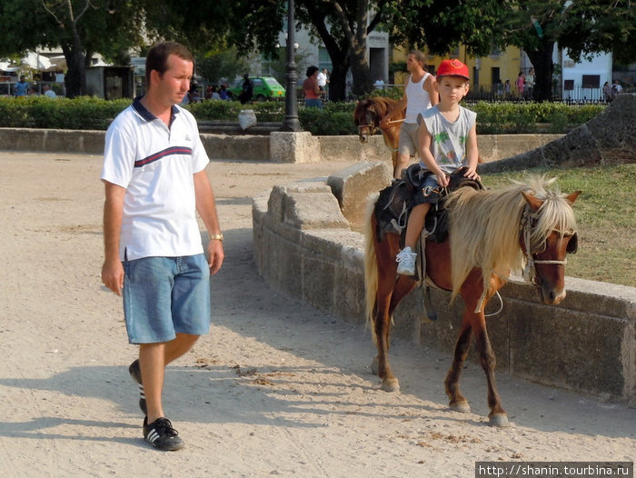 Прогулка на пони Гавана, Куба