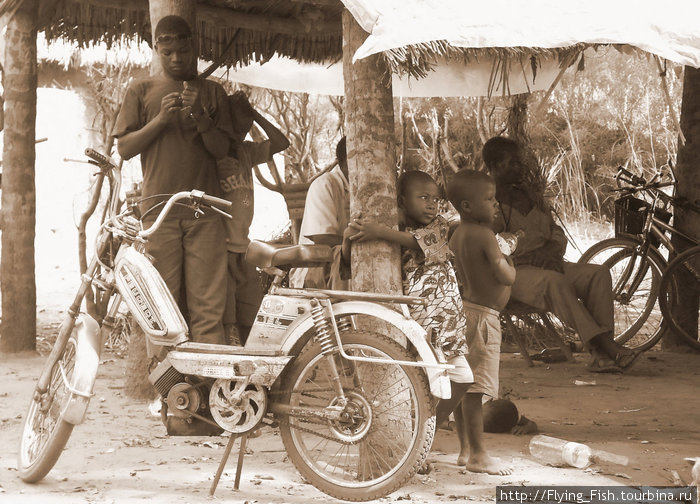 Продавцы пальмового вина Буркина-Фасо