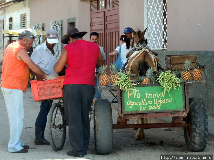 Уличный рынок Тринидад, Куба