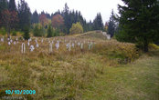 Сравнил с октябрем 2008 года, в посте: Осень 2008, Замок “Паланок” на вершине вулкана в Мукачево
