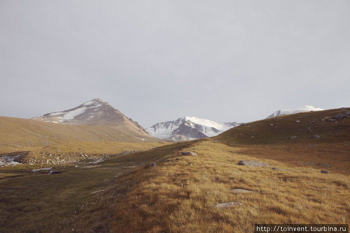 Спускаясь с гор, удивляешься насколько быстро меняется пейзаж. Буквально за холмом расположены безжизненные черные камни, еще чуть повыше снег, а там и ледовые вершины. Иле-Алатауский Национальный Парк, Казахстан