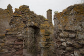 Замок Даннотар (Dunnotar castle) — представительница его нынешних обитателей