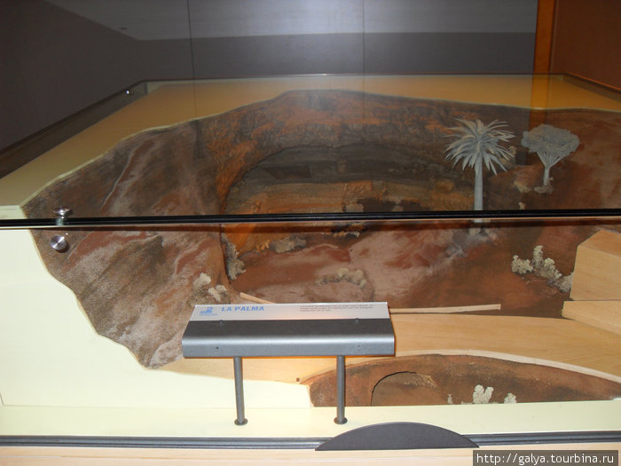 Музей естественной истории и мумии гуанчей