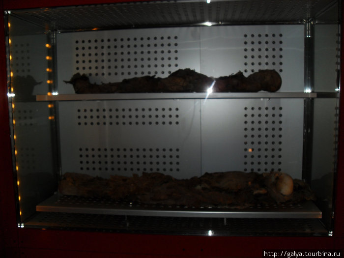Музей естественной истории и мумии гуанчей Санта-Крус-де-Тенерифе, остров Тенерифе, Испания