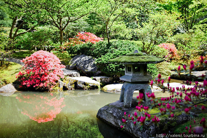 Японские сады Сиэттл, CША