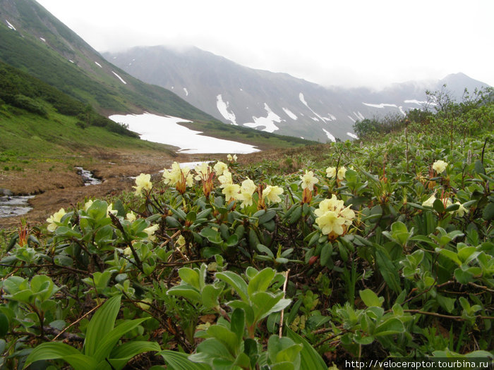 Камчатка 2010 Петропавловск-Камчатский, Россия