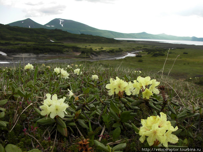 Камчатка 2010 Петропавловск-Камчатский, Россия