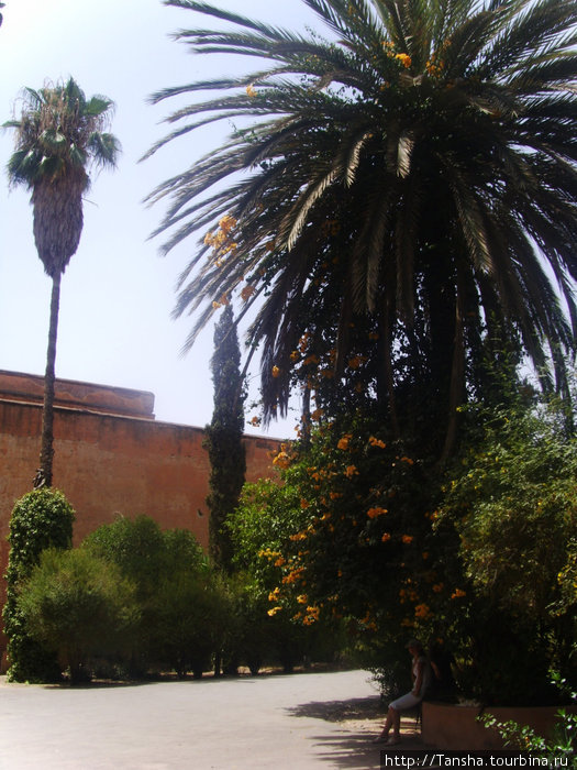 Пальмы на территории Дворца Марокко