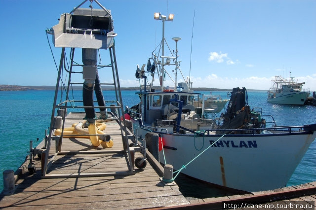 Если повезет, то на городском пирсе можно посмотреть на выгрузку рыбы с небольших рыболовецких кораблей. Штат Южная Австралия, Австралия