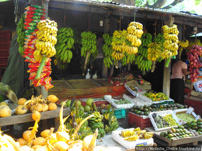 Огромное количество фруктов — сто с лишим видов бананов, папайя, манго, кокосы, киви, яблоки.... куча всего невиданного в придачу... Южная провинция, Шри-Ланка