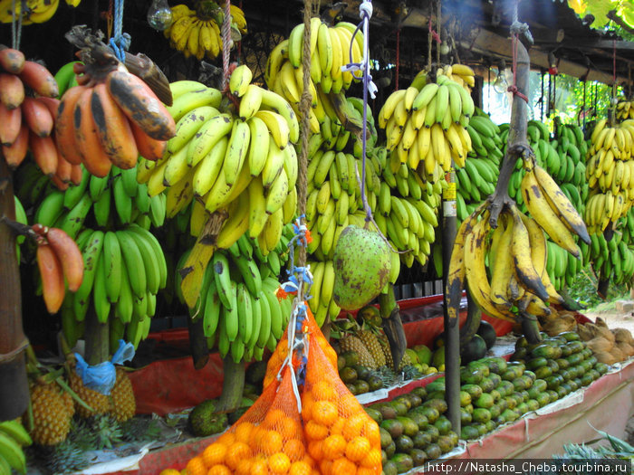 Но самое лучшее — это шриланкийские ананасы, если вы не пробовали шриланкийские ананасы, то не надо говорить, что вы знаете, каким должен быть ананас)))) Южная провинция, Шри-Ланка