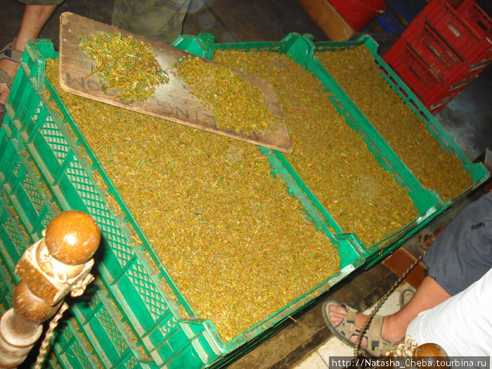 Так высушивают чай на одной из фабрик.... Южная провинция, Шри-Ланка
