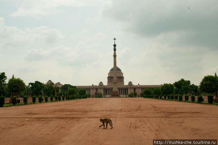 Президентский дворец и Секретариат Дели, Индия