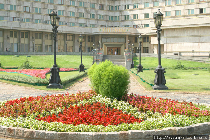 Солнечное утро в Даниловском саду Москва, Россия