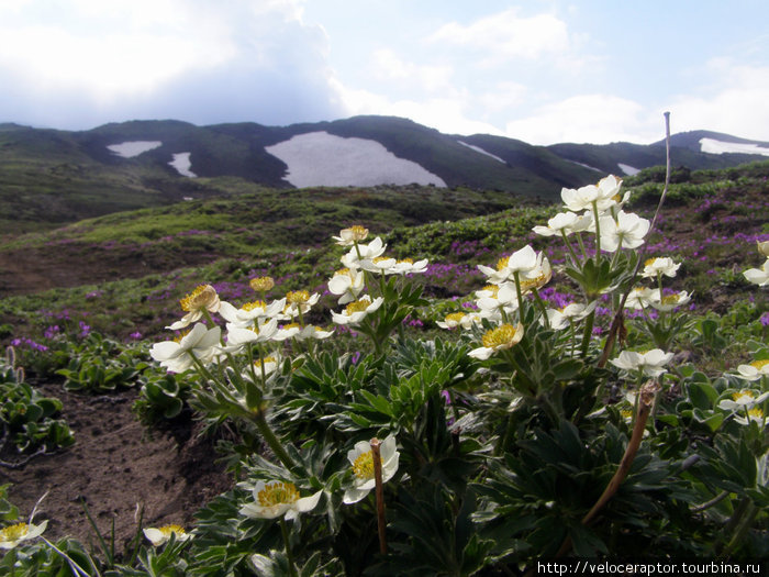 Камчатка 2010 Петропавловск-Камчатский, Россия