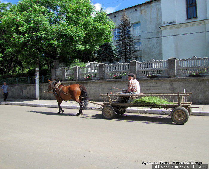 На улицах города. Львовская область, Украина