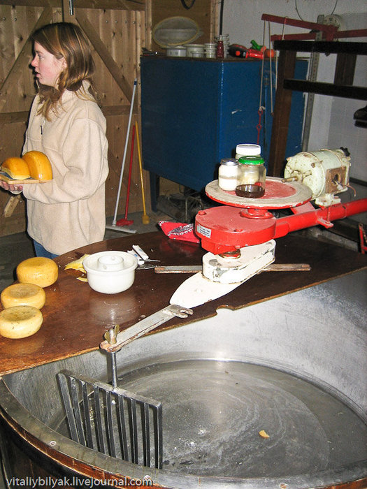 Дочь хозяина показывает весь процесс изготовления сыра. Особенно настаивала на оригинальности древнего семейного рецепта изготовления сыра, в чем я засомневался, глядя на современное оборудование. Амстердам, Нидерланды