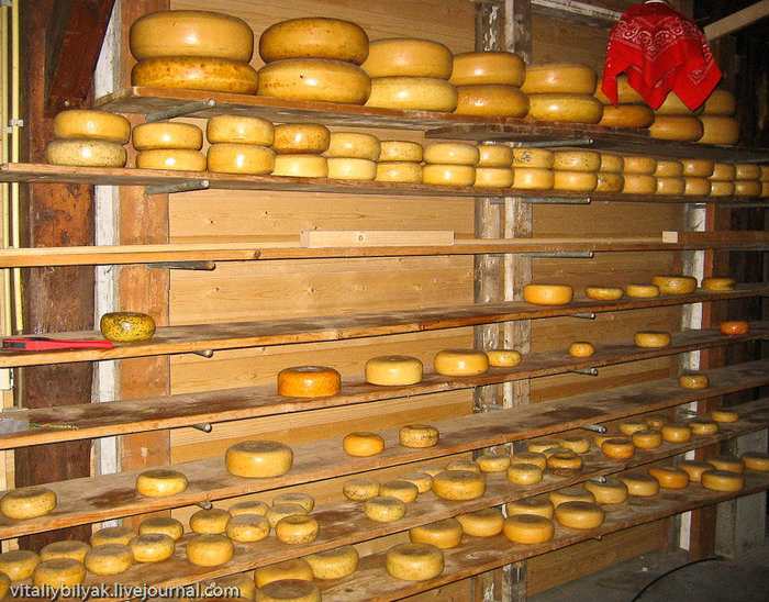Разный диаметр сыров на разный размер амбиций и кошелька! Амстердам, Нидерланды