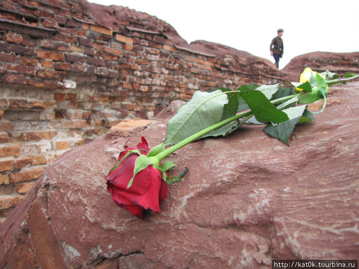 В Брест на 9 мая 2010 Брест, Беларусь