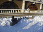 04.01.2010. Москва. Александровский сад.