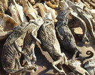 Рынок фетишей в Ломе. Пудра из хамелеонов благотворно влияет на кожу.