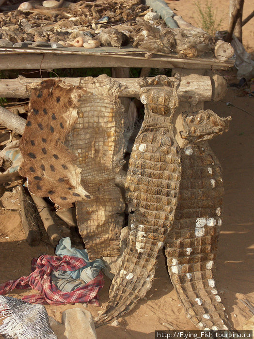 Рынок фетишей в Ломе Того