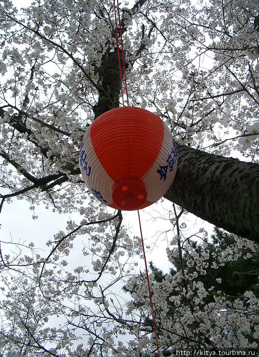 Весна и лето в Удзи Удзи, Япония