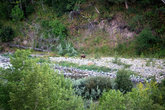 Медвед у речки рядом с полем для гольфа