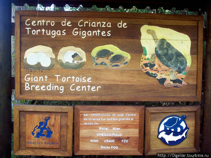 Черепаший Центр Остров Исабела, Эквадор