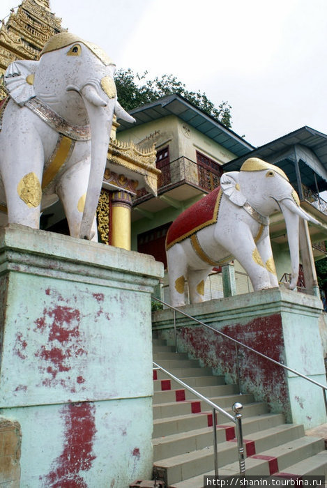 Лестница и два белых слона Баган, Мьянма