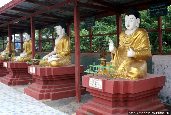 Будды Пья, Мьянма