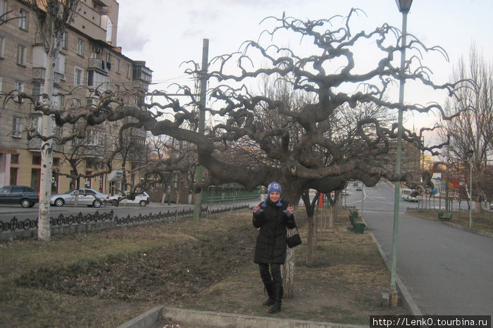 Зимний Кишинэу (2007) Кишинёв, Молдова