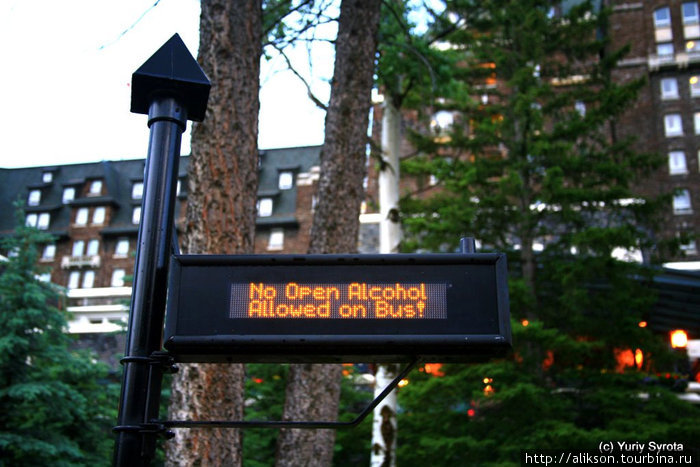 Надпись на автобусной остановке: Алкоголь в открытых контейнерах не разрешен на автобусе. Банфф, Канада