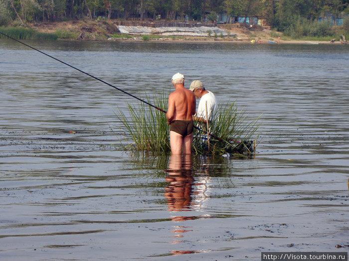 рыбаки ловили рыбу, а поймали...