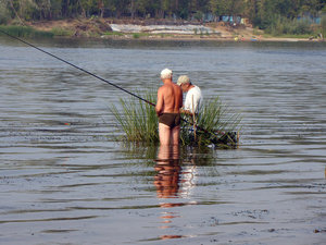 рыбаки ловили рыбу, а поймали...