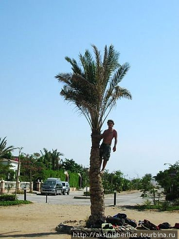 Кайтсерфинг на Calimera Golden Beach 4* Хургада, Египет