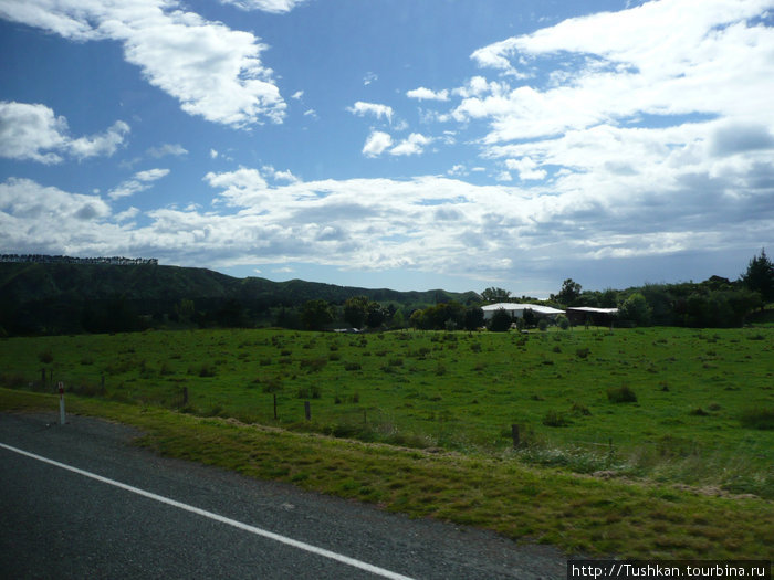 Зелено-синие просторы Новой Зеландии Новая Зеландия
