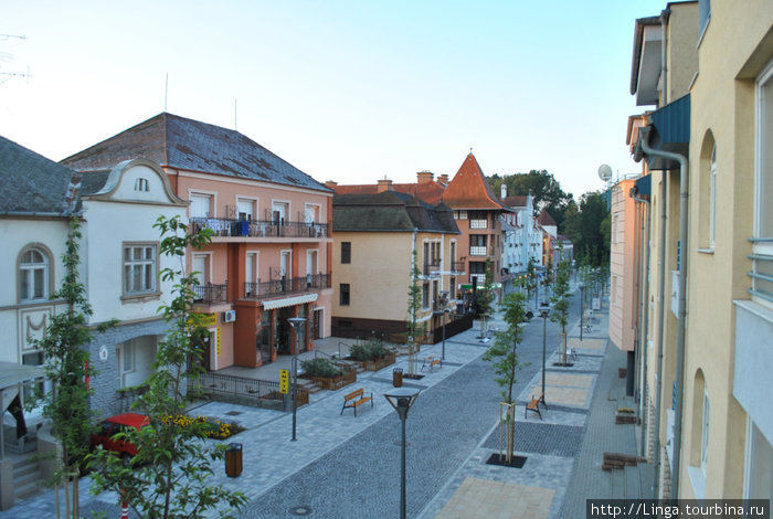 Вид на одну из пешеходных улиц  — ул. королевы Эржбеты Хевиз, Венгрия