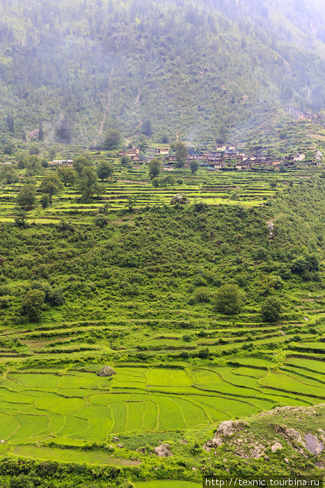 Непал: треккинг от Симикота до Хилсы. День второй Зона Карнали, Непал