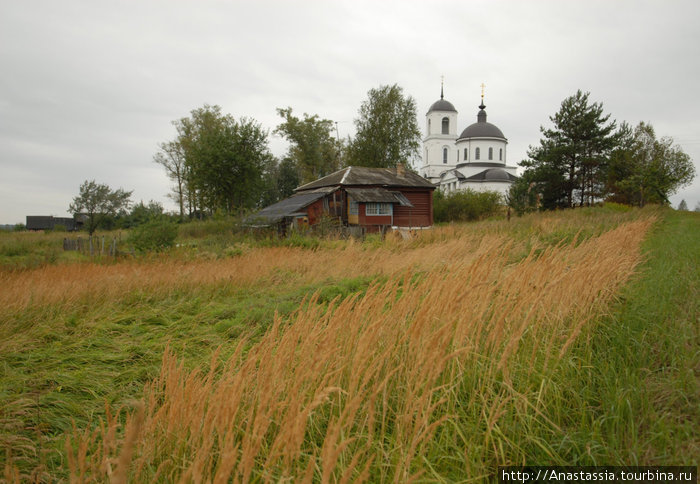 Деревня ногинская