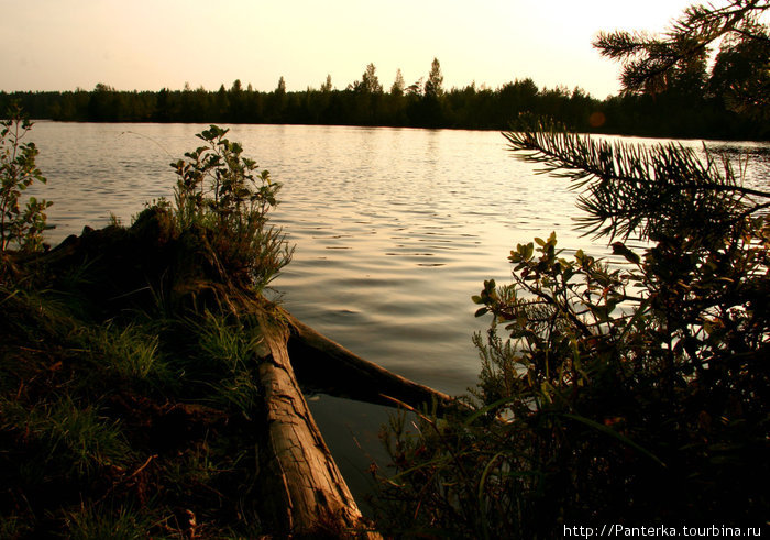 Красоты озерного края Приозерск, Россия