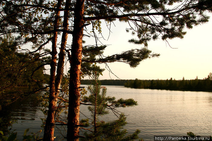 Красоты озерного края Приозерск, Россия