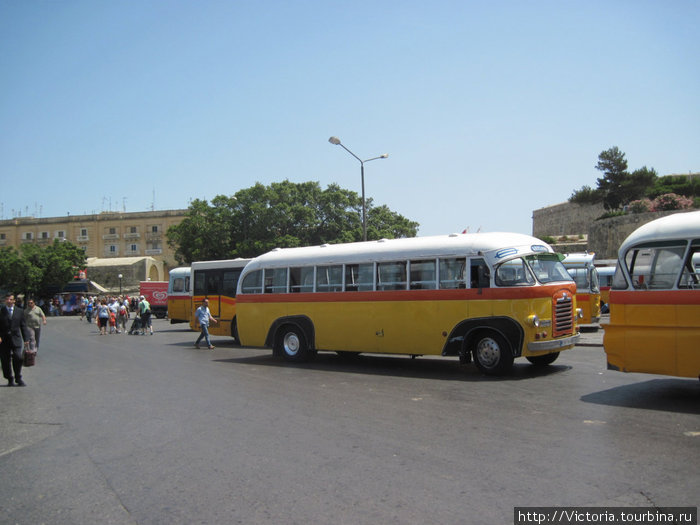 В Валетте нет двух одинаковых автобусов. Валлетта, Мальта