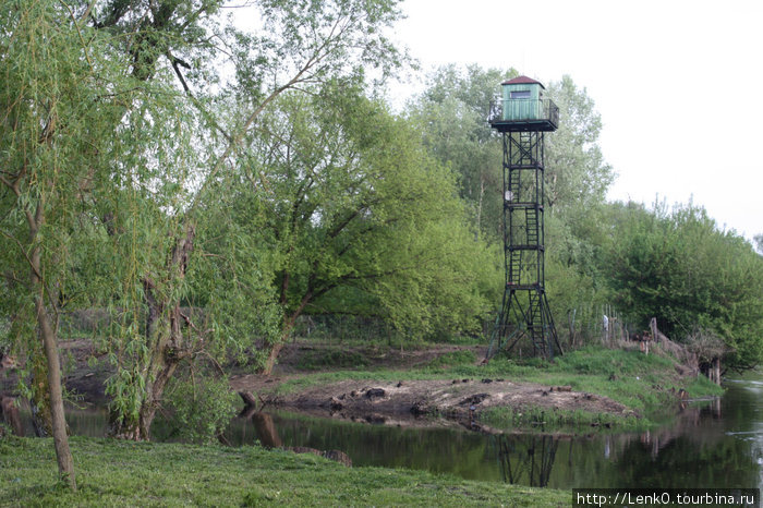 Праздник со слезами на глазах (Брест,09.05.10) Брест, Беларусь